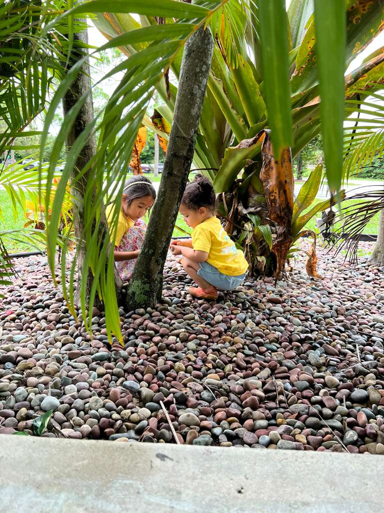 Two young children exploring together among palm trees and pebbles in a garden setting